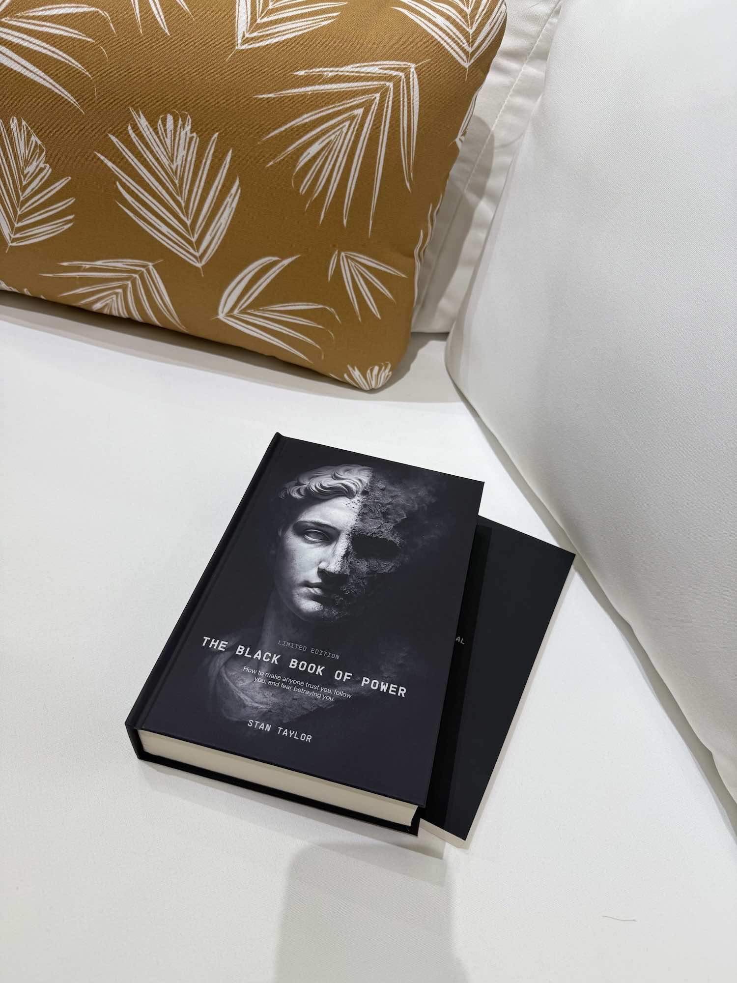 Book titled 'The Black Book of Power' on a white surface with a patterned pillow in the background